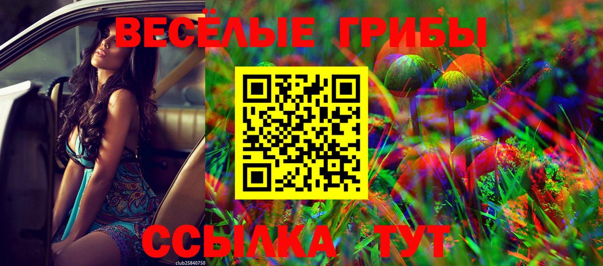 Галлюциногенные грибы мицелий Юрга