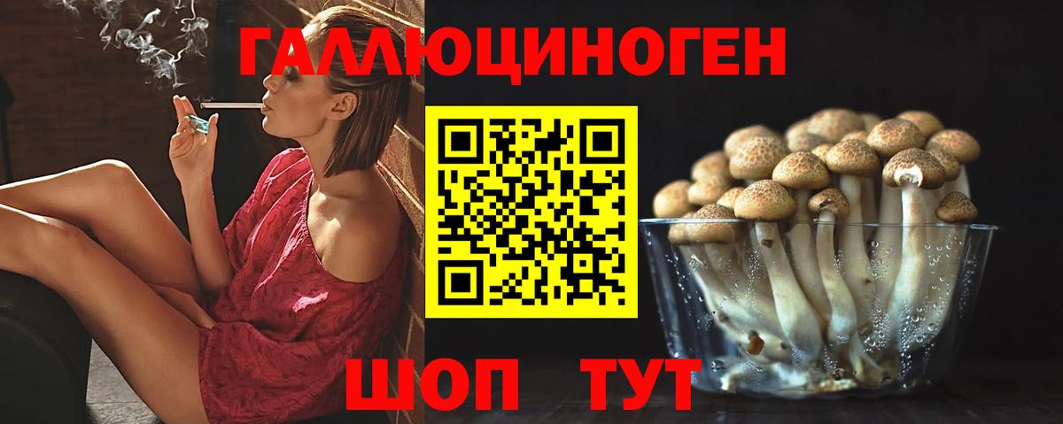 Галлюциногенные грибы Psilocybine cubensis  Вход с VPN  купить наркотики цена  Юрга 